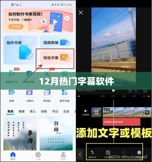 12月热门字幕软件推荐