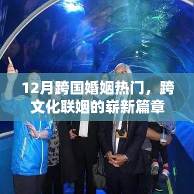 跨文化联姻新篇章，12月跨国婚姻热度上升