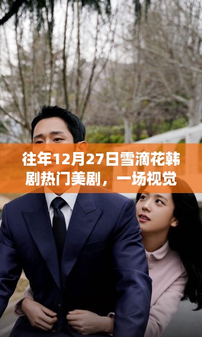 『雪滴花韩剧盛宴，视觉与情感的交融』
