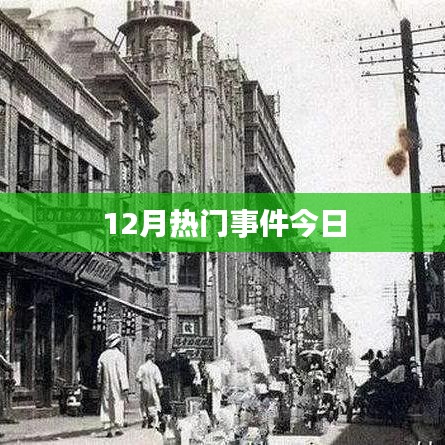鸟骇鼠窜 第3页