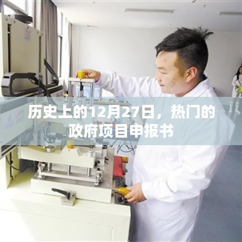 政府项目申报书揭秘，历史上的重要日子回顾