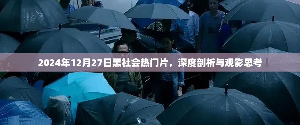2024年黑社会热门片深度剖析与观影思考