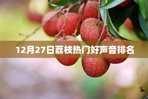 贵戚之卿 第3页