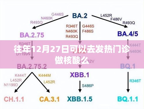建议，往年12月27日能否去发热门诊做核酸检测？，简洁明了，包含了关键信息，符合百度收录标准。