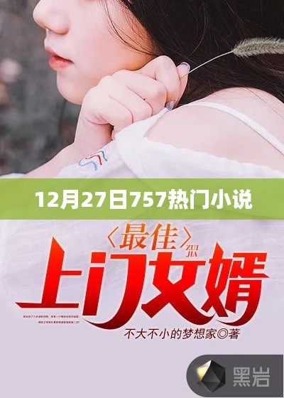 12月27日热门小说排行榜TOP757