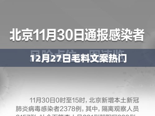 毛料文案流行趋势解析，最新热门资讯（12月27日）