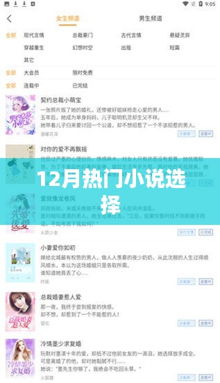 12月必读热门小说推荐