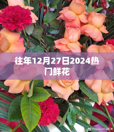 『2024年12月27日热门鲜花一览』