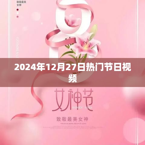 节日盛宴，2024年12月27日精彩瞬间回顾视频