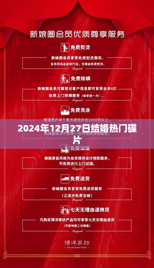结婚热门碟片推荐，2024年12月27日精选回顾