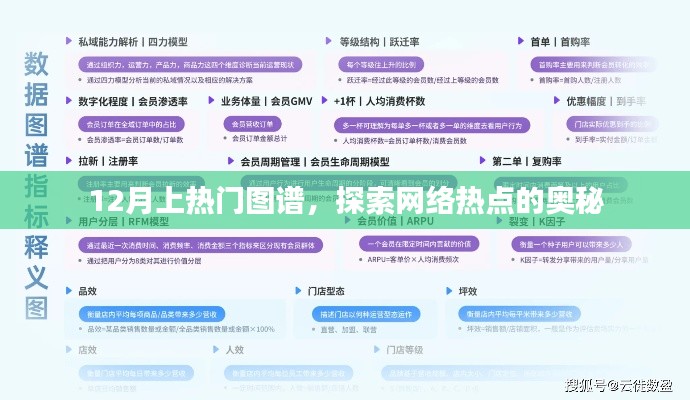 12月热门图谱揭秘，网络热点背后的奥秘探索