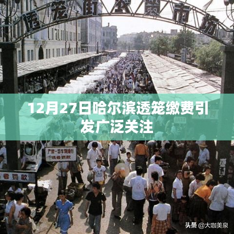 哈尔滨透笼缴费事件引发社会关注