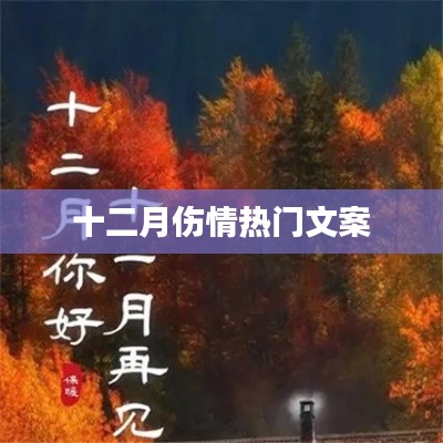 十二月伤感文案，情感深处的哀伤与思念