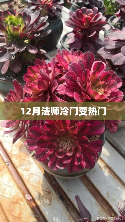 揭秘法师冷门变热门背后的秘密！