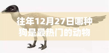 字斟句酌 第3页