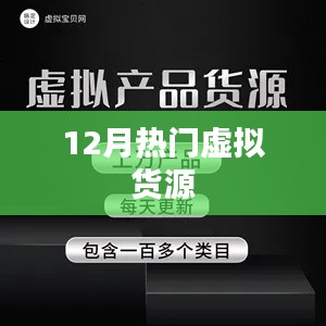 12月热门虚拟货源概览