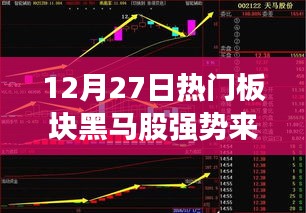 12月27日黑马股强势来袭，热门板块大爆发