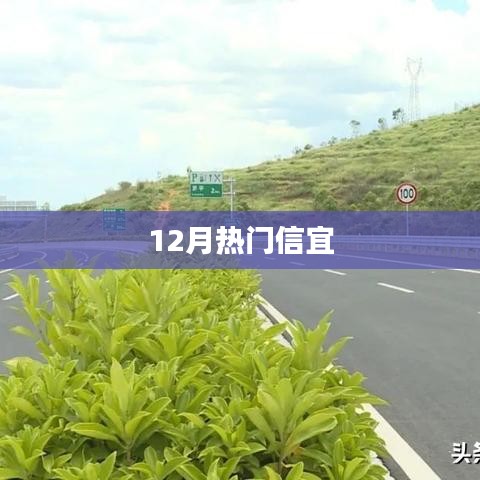 信宜12月热点大盘点