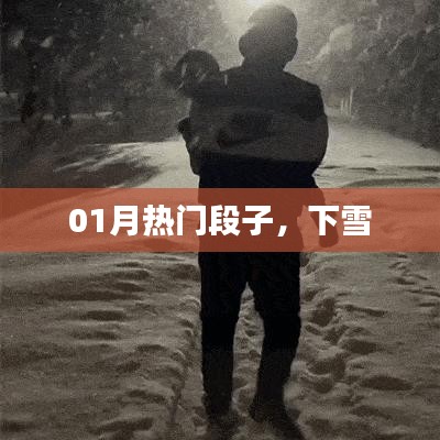 热门搞笑段子来袭，一月雪季欢乐集锦