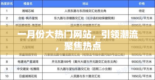 一月份热门网站，潮流引领，热点聚焦