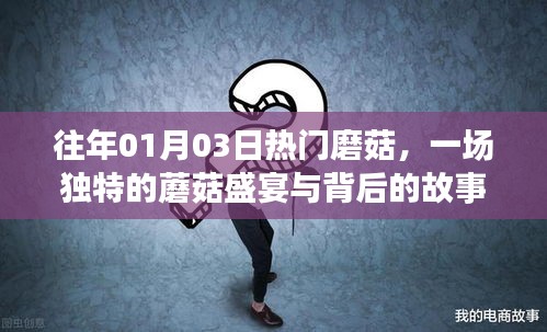 蘑菇盛宴背后的独特故事与魅力