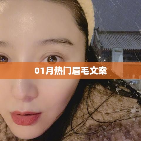 箪瓢陋室 第3页