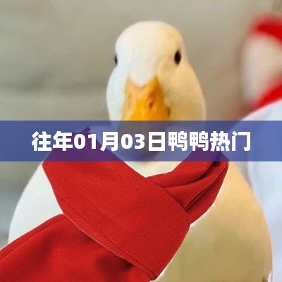 七嘴八张 第3页