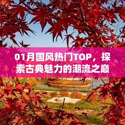探索古典魅力潮流之巅，一月国风热门TOP榜