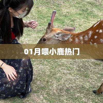 一月小鹿热喂忙，萌态尽显引关注