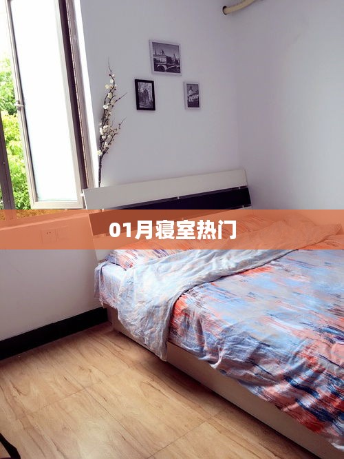 寝室一月热门话题盘点