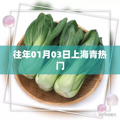 上海青浦元旦后热门活动回顾