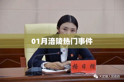 草率收兵 第3页