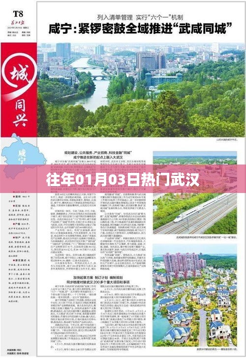 逆风飞扬 第3页