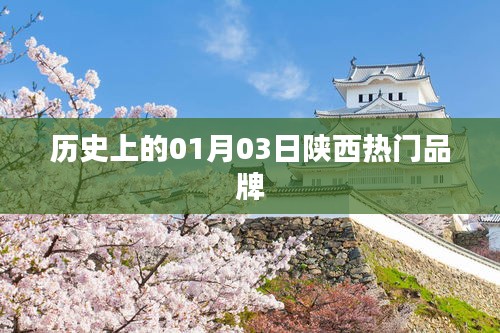 陕西品牌历史重大时刻，一月三日瞩目时刻