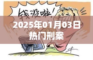 2025年1月3日刑案热点解析