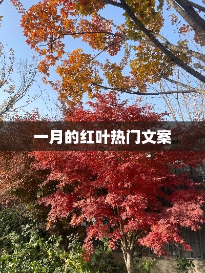 莺声燕语 第3页