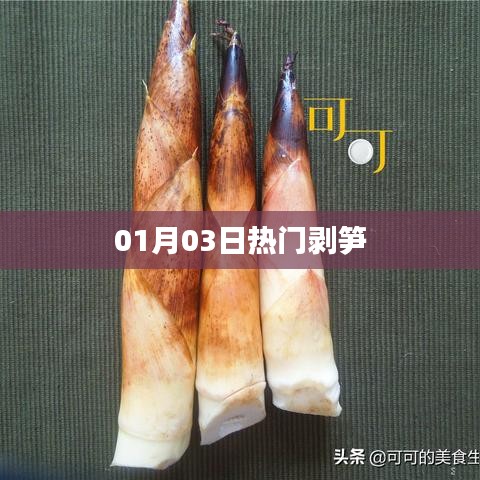 热门剥笋，最新动态一网打尽（日期，01月03日）