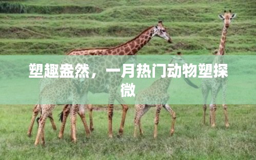 塑趣盎然，一月热门动物探微