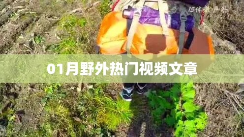 钝学累功 第2页