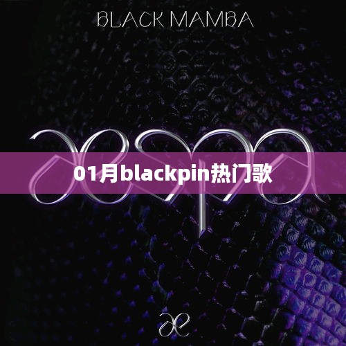 Blackpin 热门歌曲大盘点