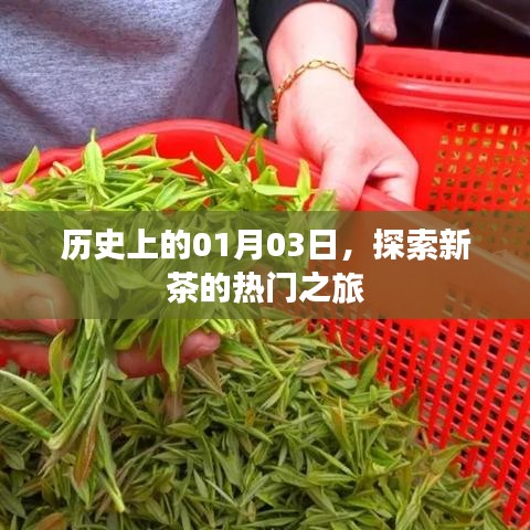 探索新茶之旅，历史上的一月三日