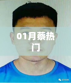 一月蔡热门事件全解析