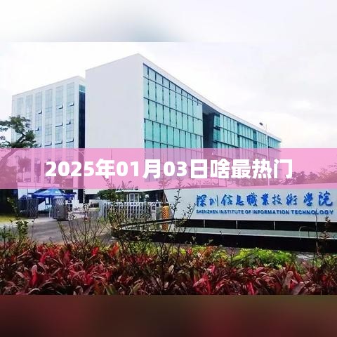 2025年热门趋势前瞻，新年新热门