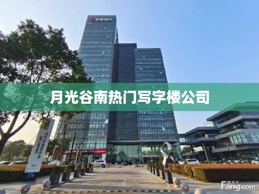 月光谷南写字楼公司备受瞩目