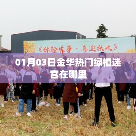 揭秘金华热门绿植迷宫地点，01月03日探秘之旅
