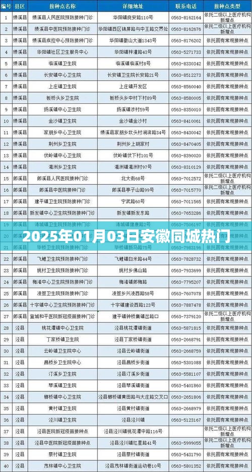 安徽同城热门活动一览（2025年1月3日）