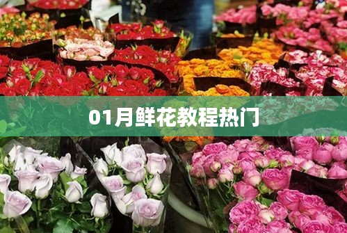 01月热门鲜花教程分享
