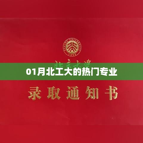 北工大一月热门专业榜单