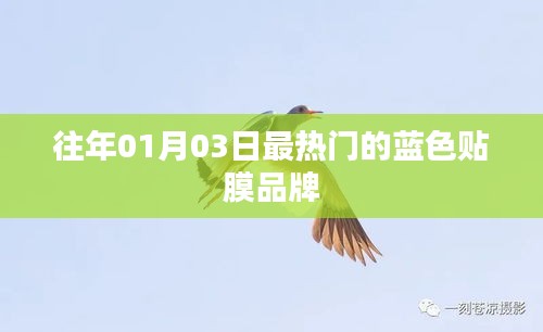 热门蓝色贴膜品牌盘点，历年一月初最受追捧的品牌