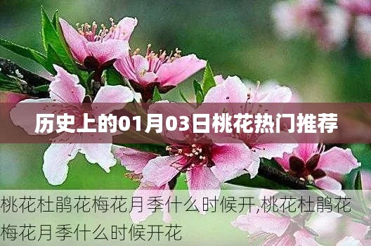 历史上的桃花盛开日，一月三日热门推荐